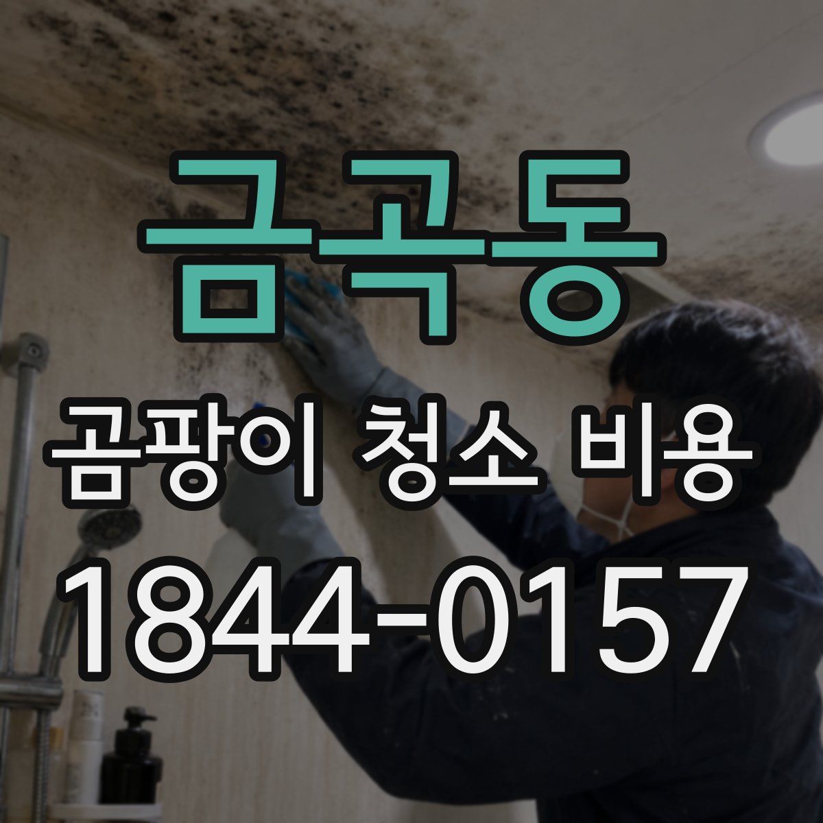 금곡동 곰팡이 청소 비용
