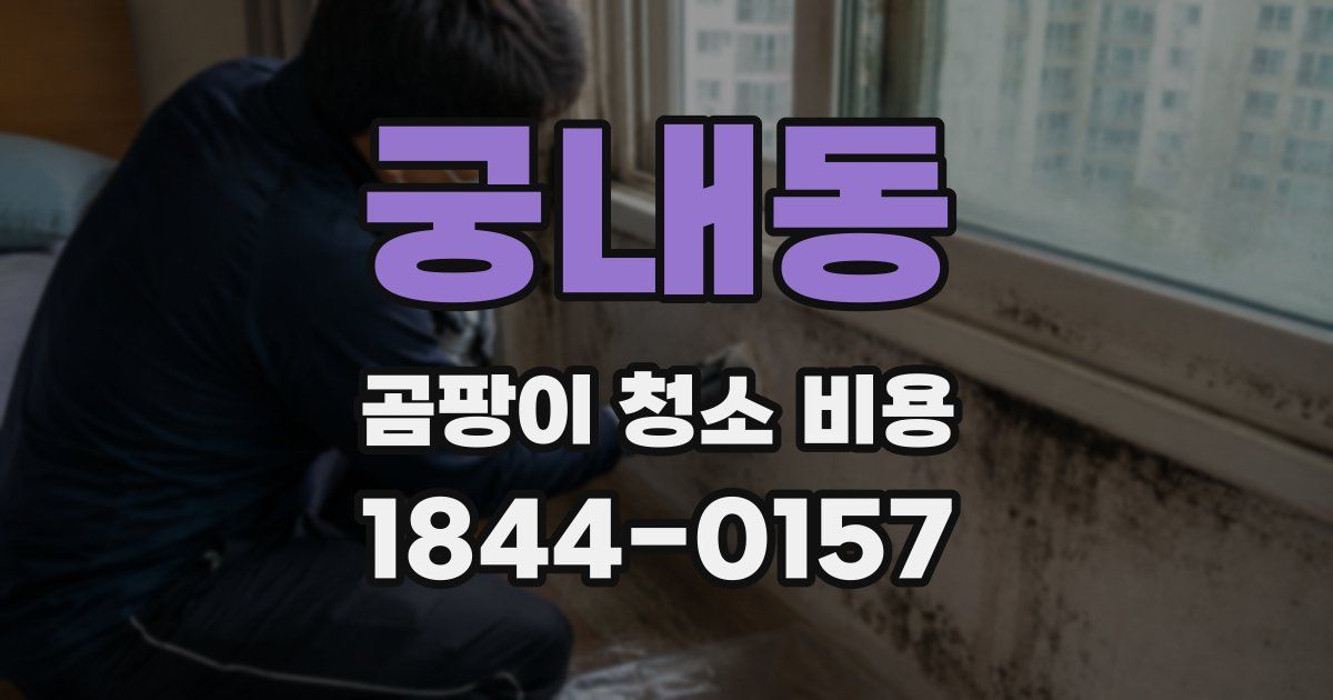 궁내동 곰팡이 청소 비용