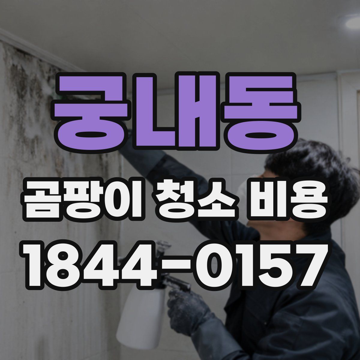 궁내동 곰팡이 청소 비용