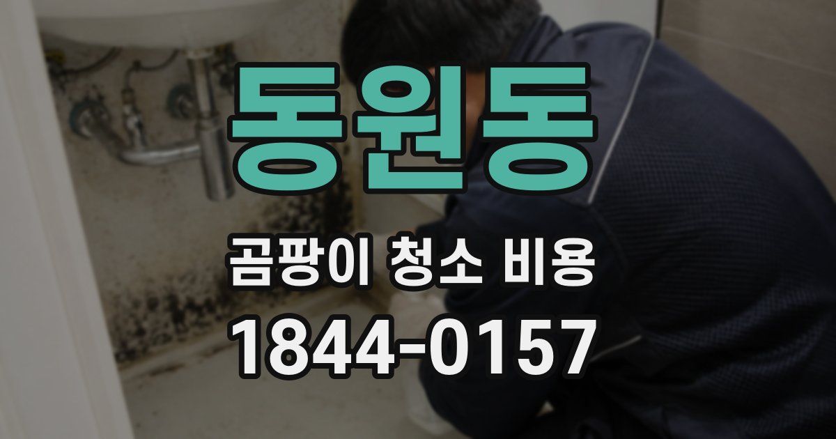 동원동 곰팡이 청소 비용