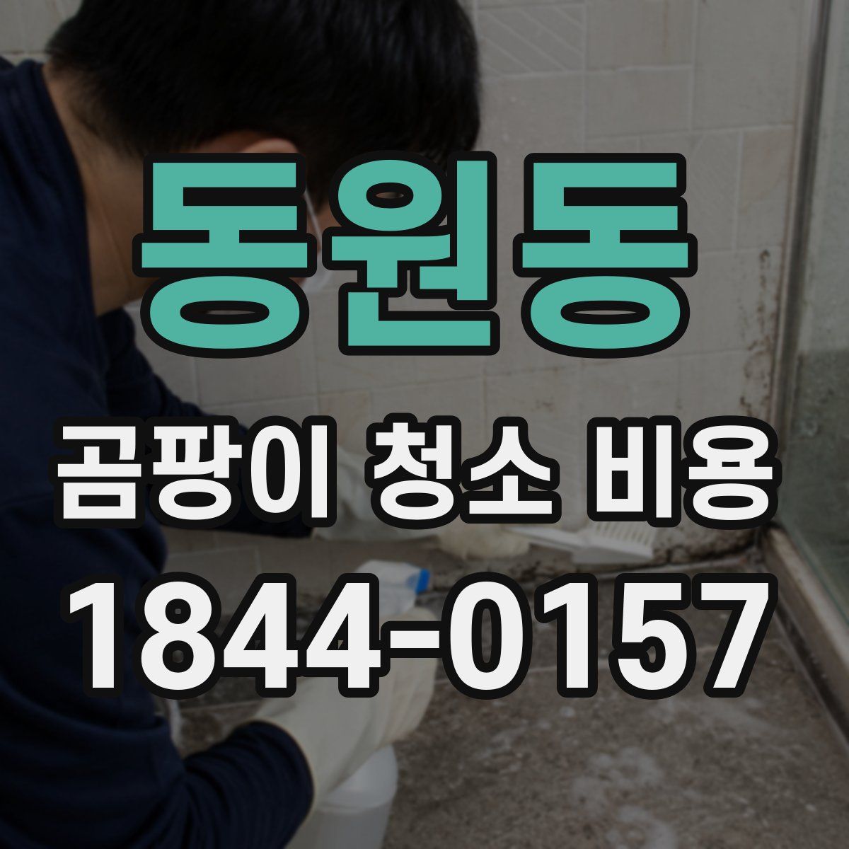 동원동 곰팡이 청소 비용