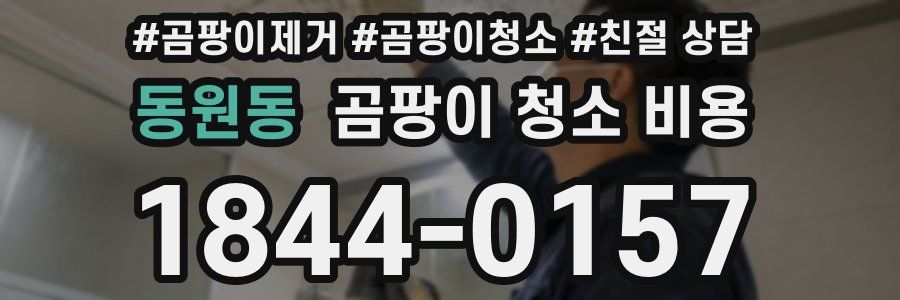 동원동 곰팡이 청소 비용