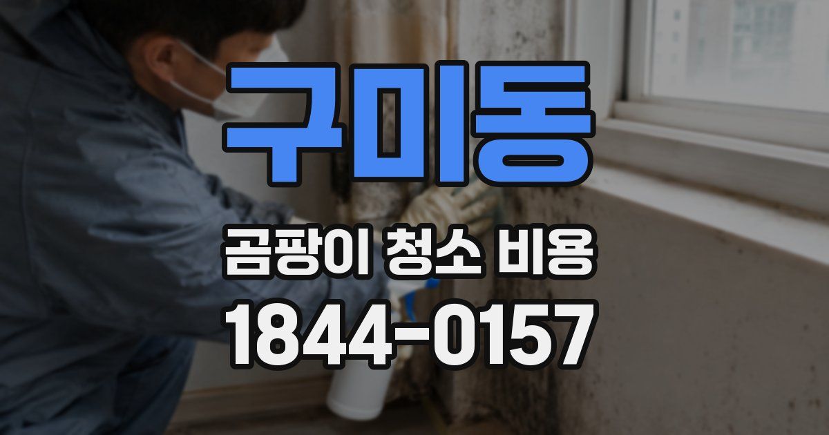 구미동 곰팡이 청소 비용