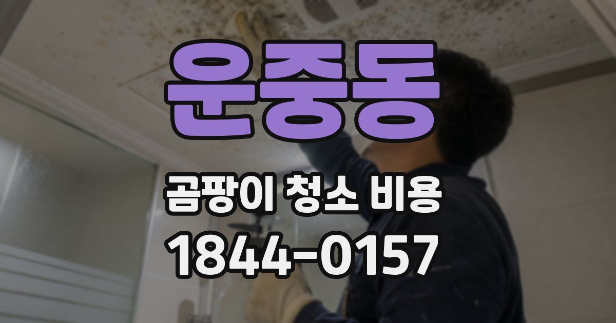 운중동 곰팡이 청소 비용