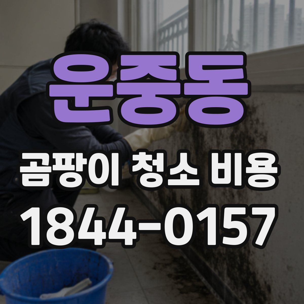 운중동 곰팡이 청소 비용