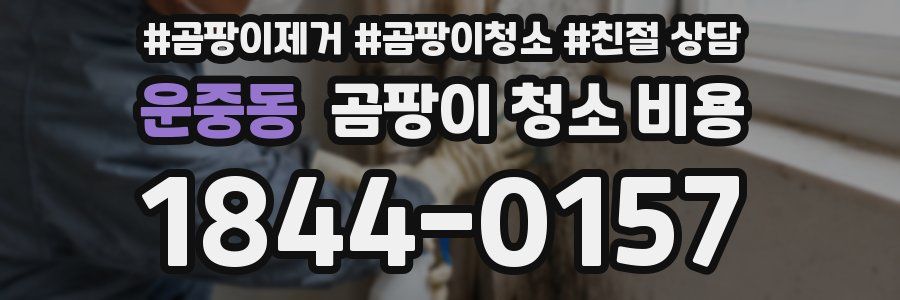 운중동 곰팡이 청소 비용