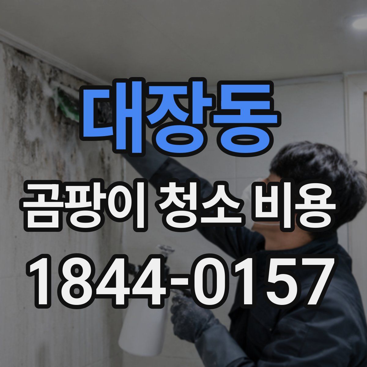 대장동 곰팡이 청소 비용