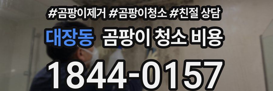대장동 곰팡이 청소 비용
