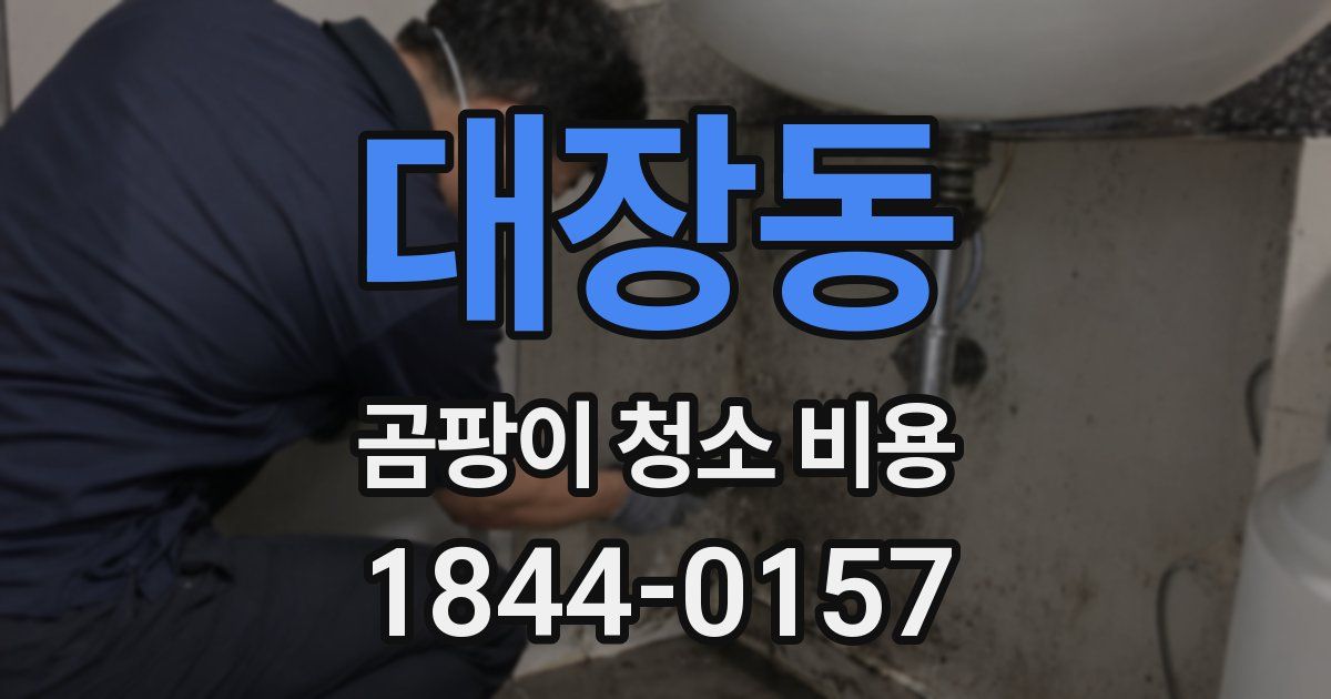 대장동 곰팡이 청소 비용