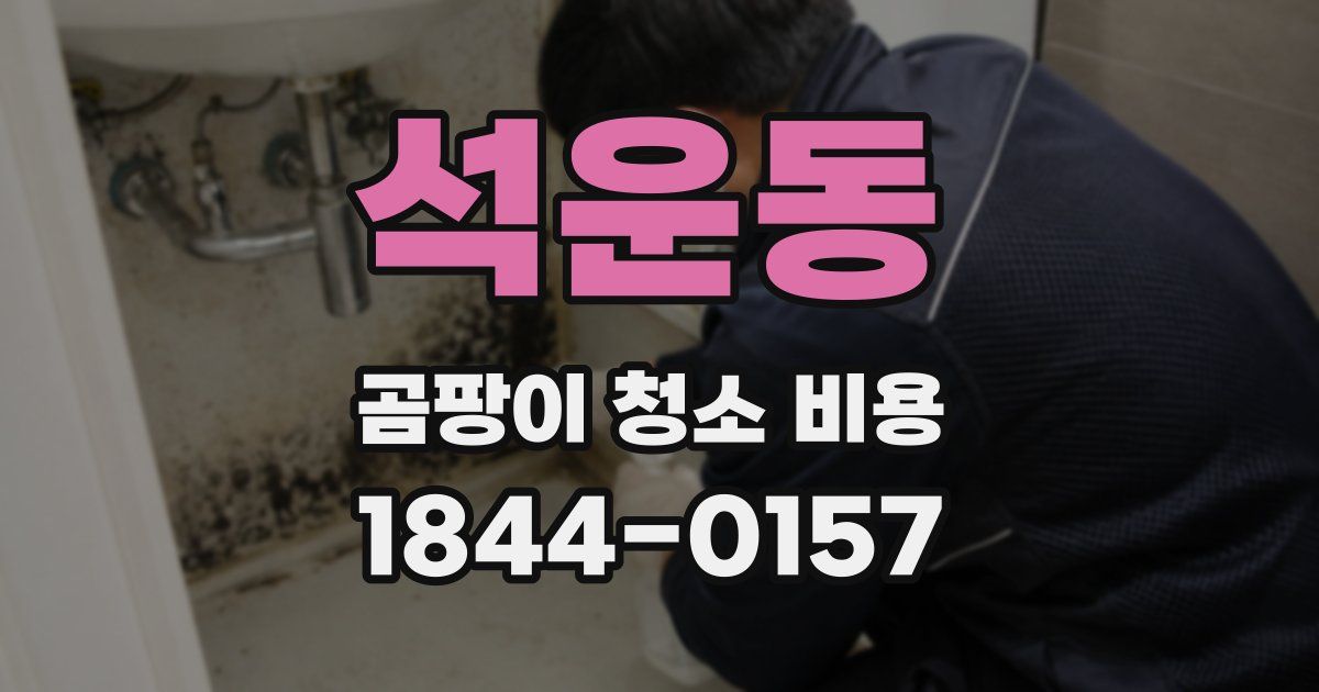 석운동 곰팡이 청소 비용