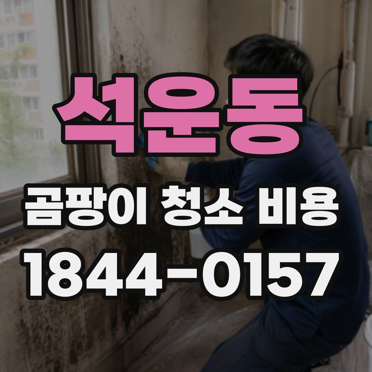 석운동 곰팡이 청소 비용