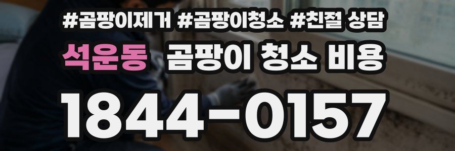 석운동 곰팡이 청소 비용