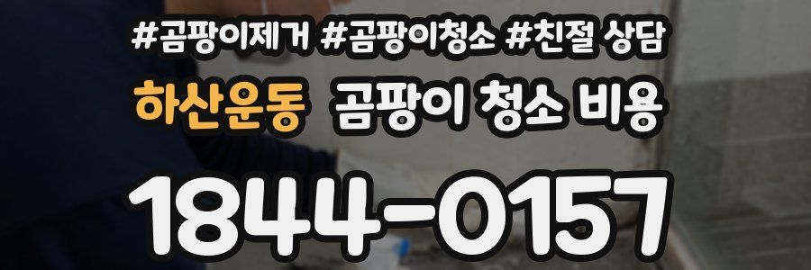 하산운동 곰팡이 청소 비용