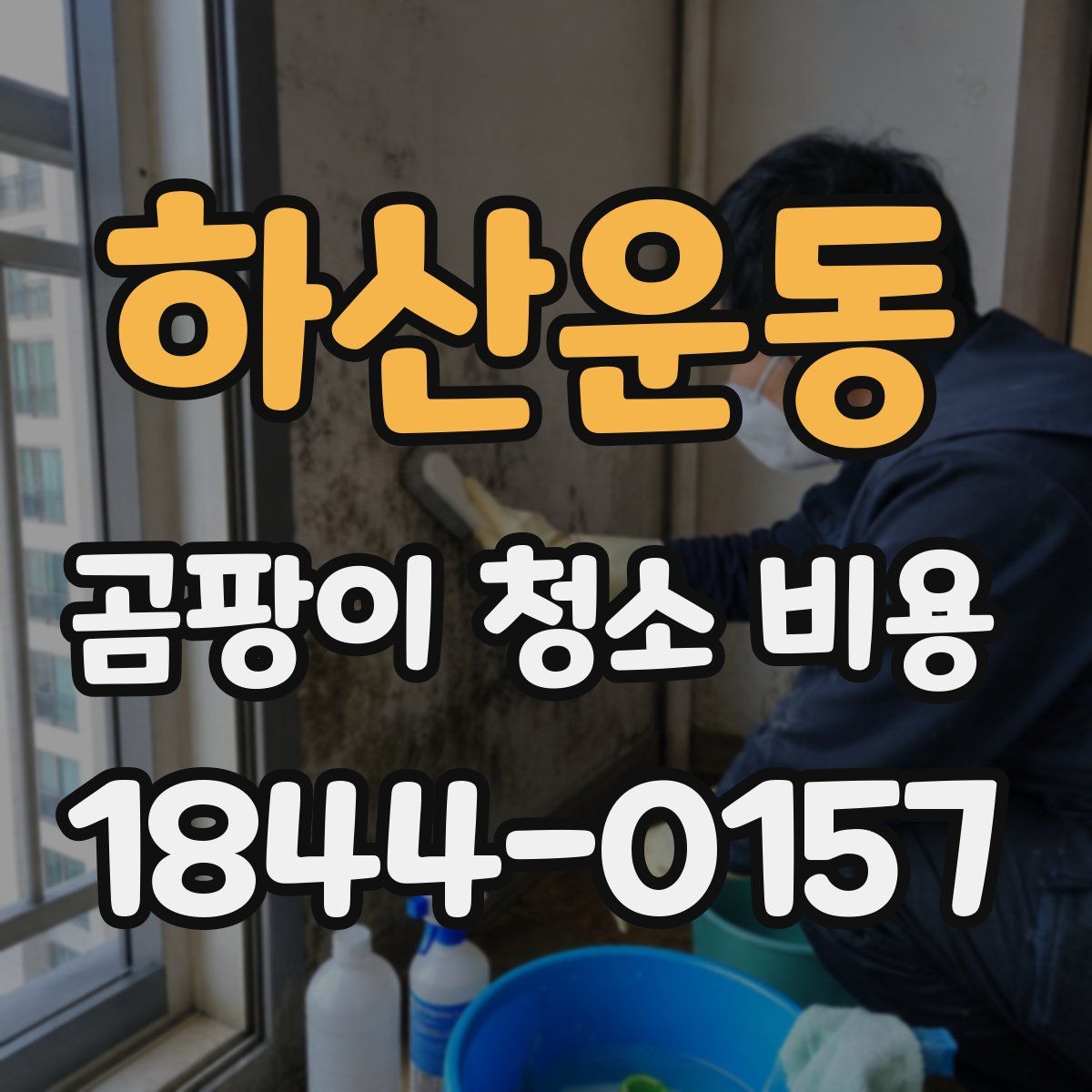 하산운동 곰팡이 청소 비용