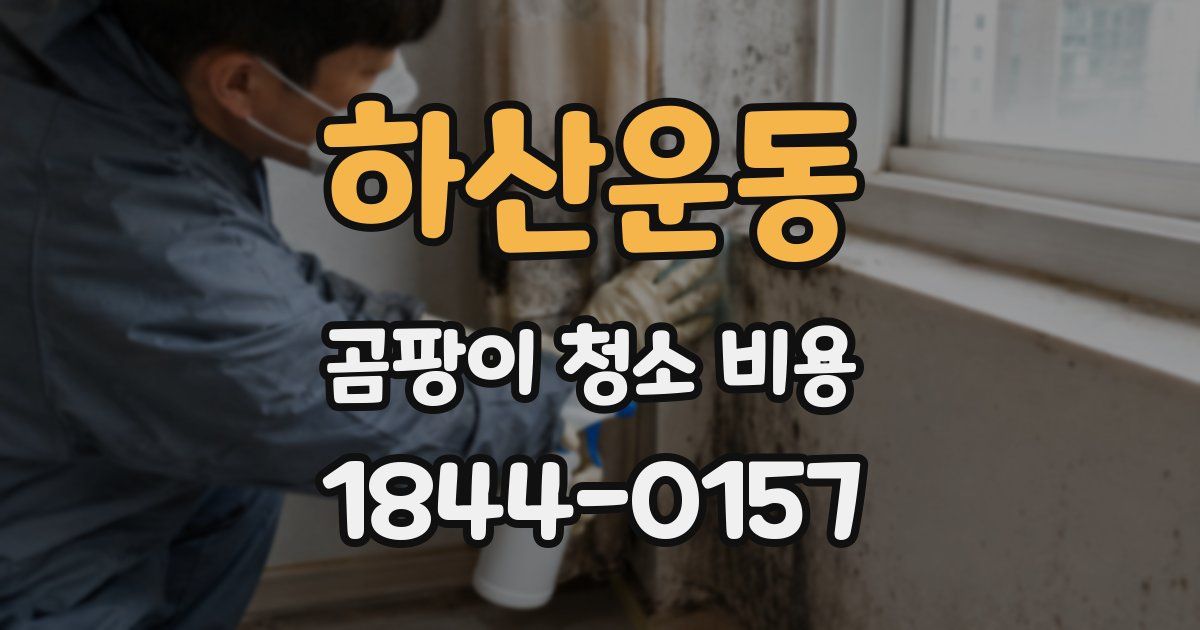 하산운동 곰팡이 청소 비용