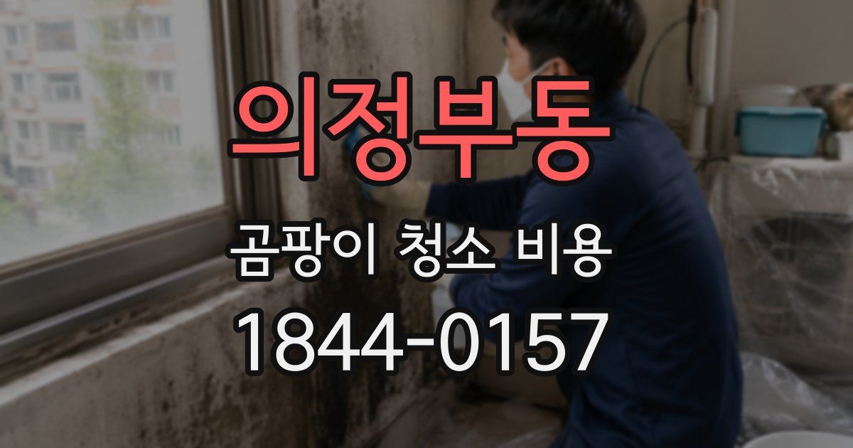 의정부동 곰팡이 청소 비용