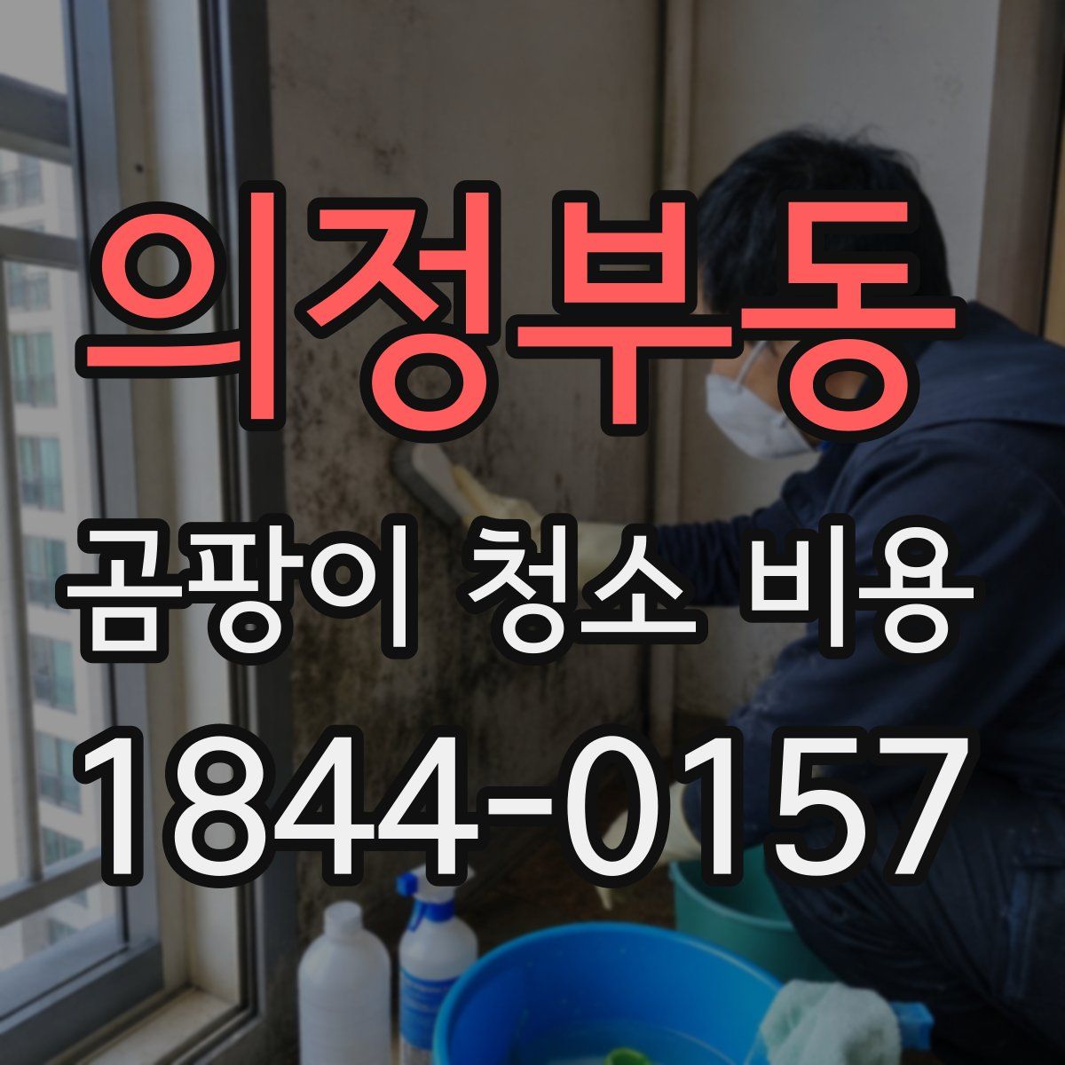 의정부동 곰팡이 청소 비용