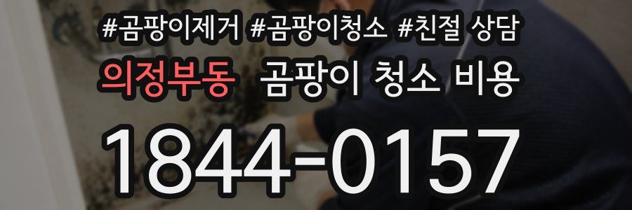의정부동 곰팡이 청소 비용