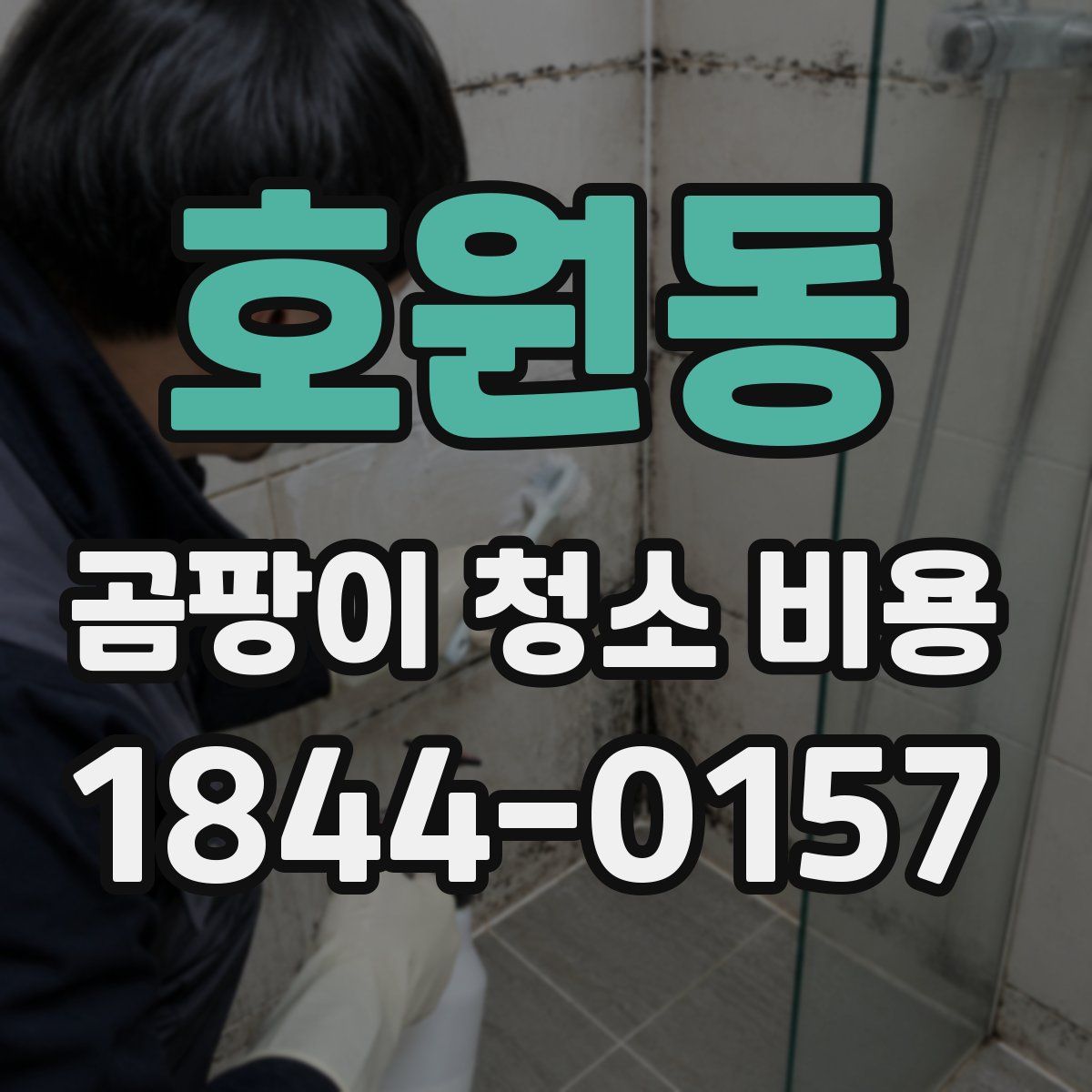 호원동 곰팡이 청소 비용
