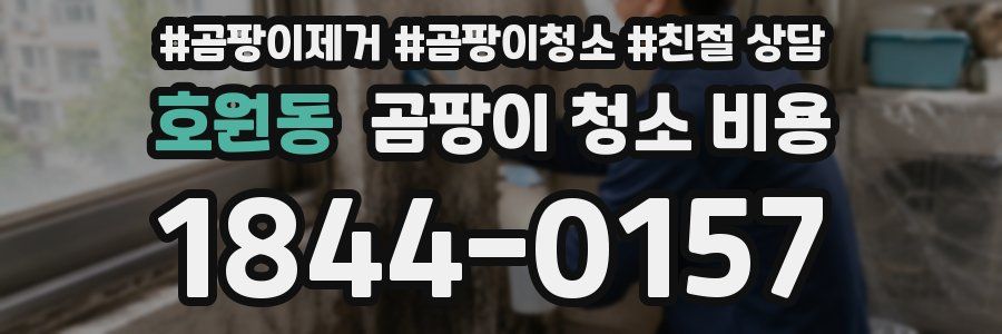호원동 곰팡이 청소 비용