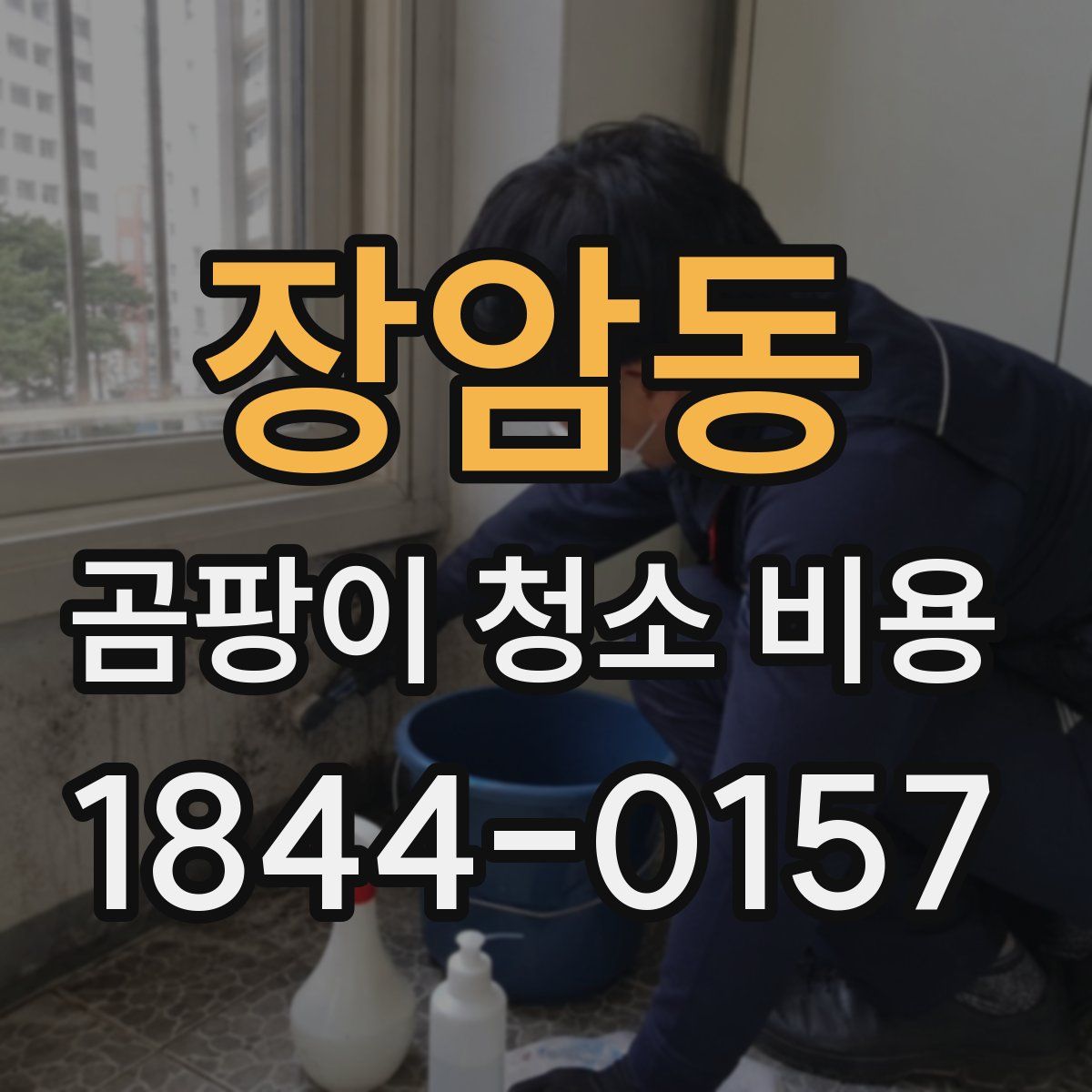 장암동 곰팡이 청소 비용