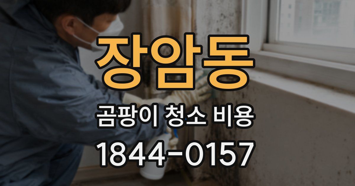 장암동 곰팡이 청소 비용
