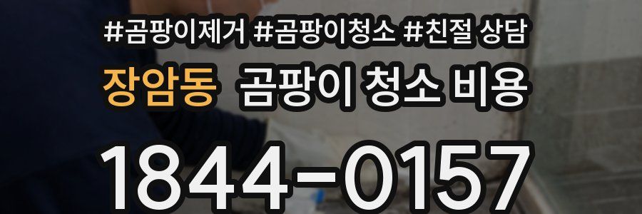 장암동 곰팡이 청소 비용