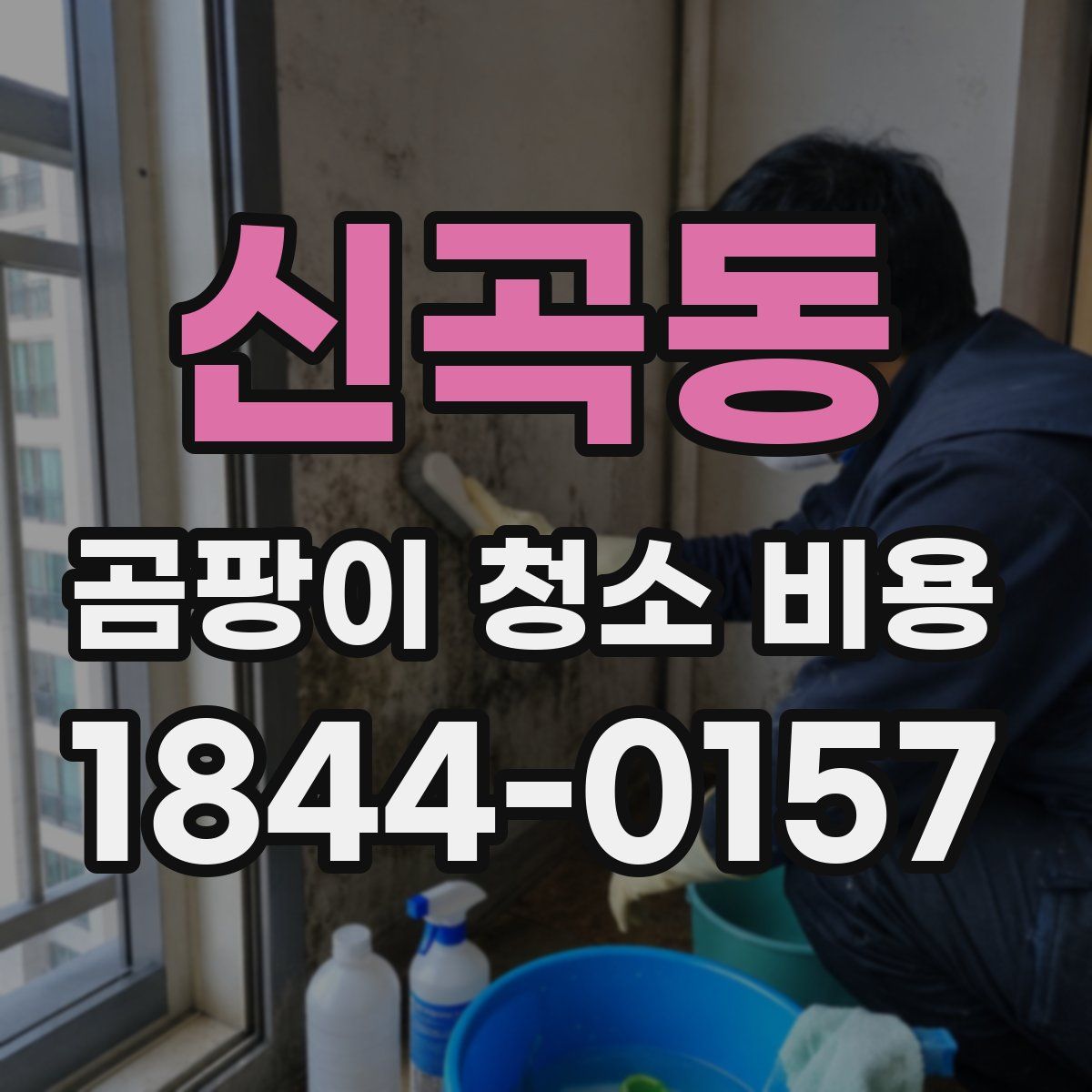 신곡동 곰팡이 청소 비용