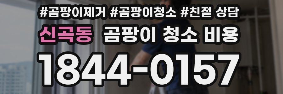 신곡동 곰팡이 청소 비용