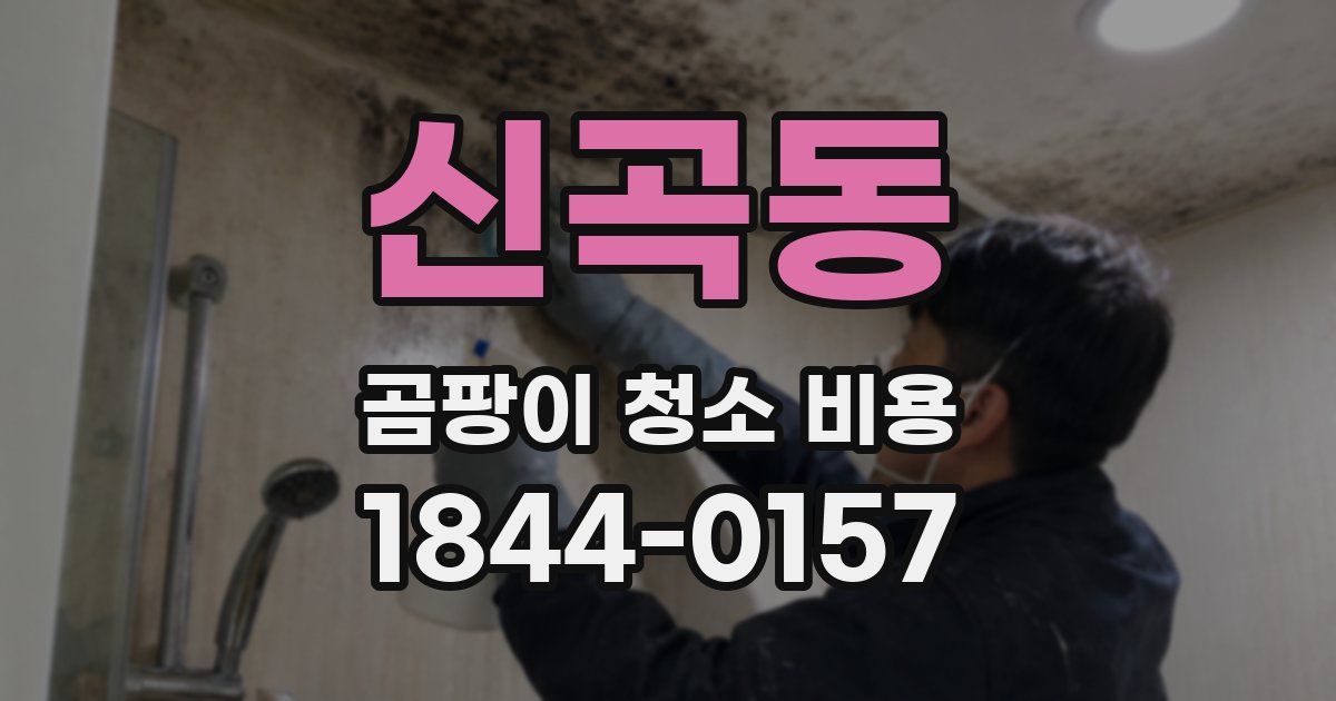 신곡동 곰팡이 청소 비용