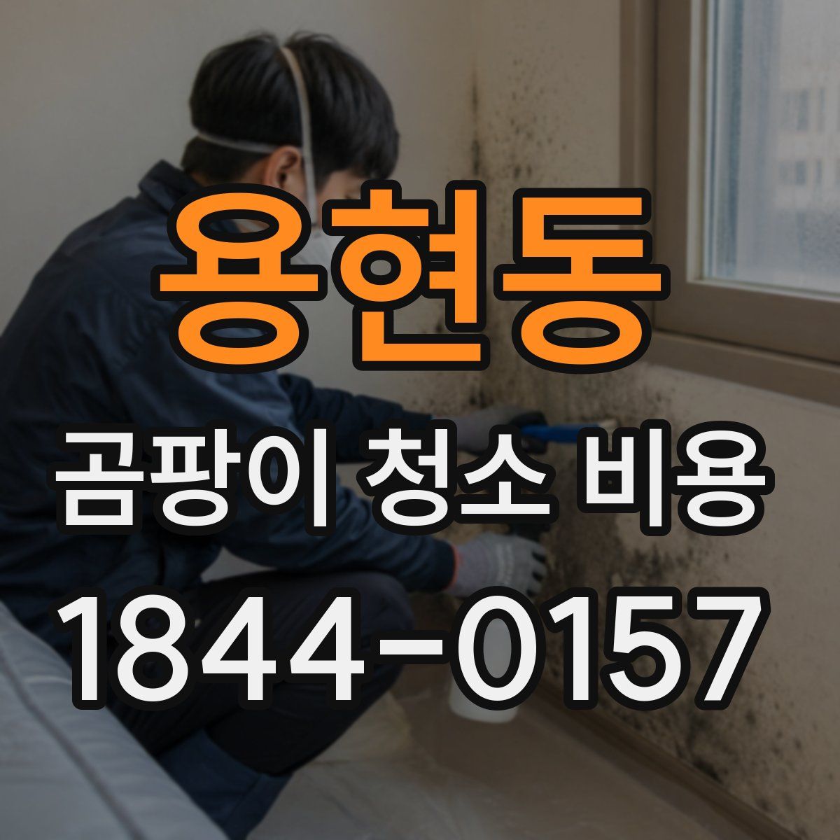 용현동 곰팡이 청소 비용