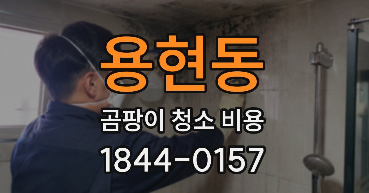 용현동 곰팡이 청소 비용