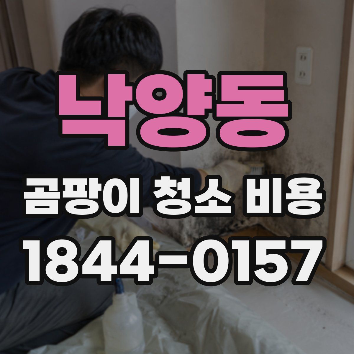 낙양동 곰팡이 청소 비용