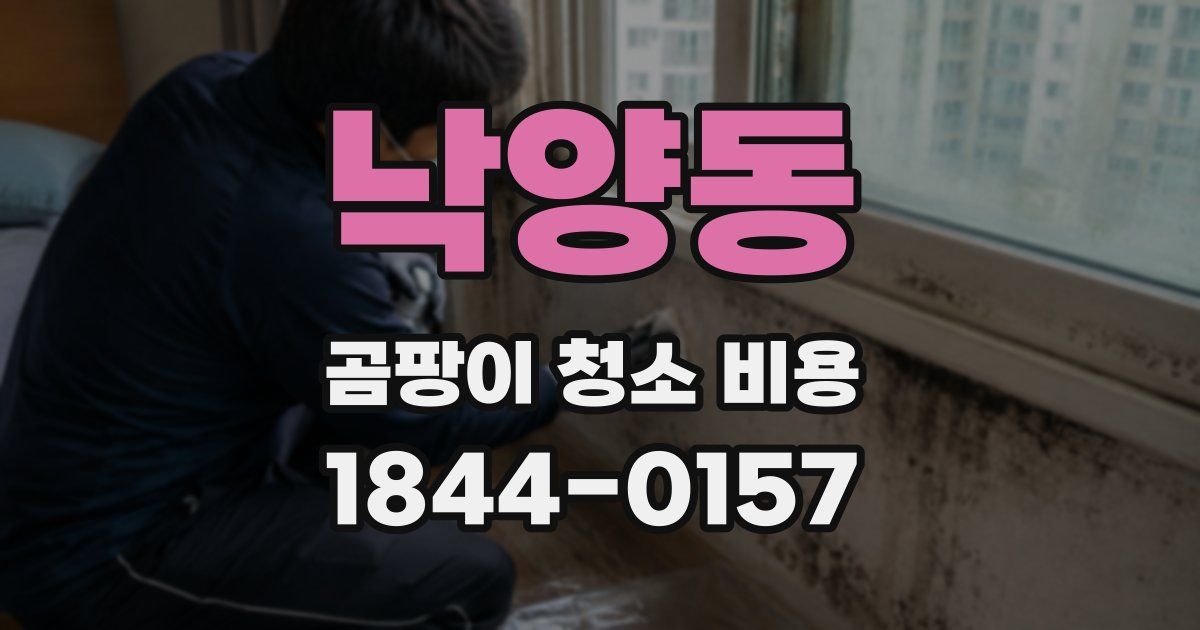 낙양동 곰팡이 청소 비용