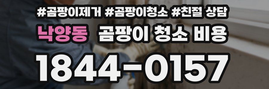낙양동 곰팡이 청소 비용