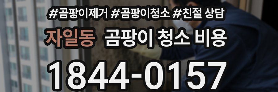 자일동 곰팡이 청소 비용
