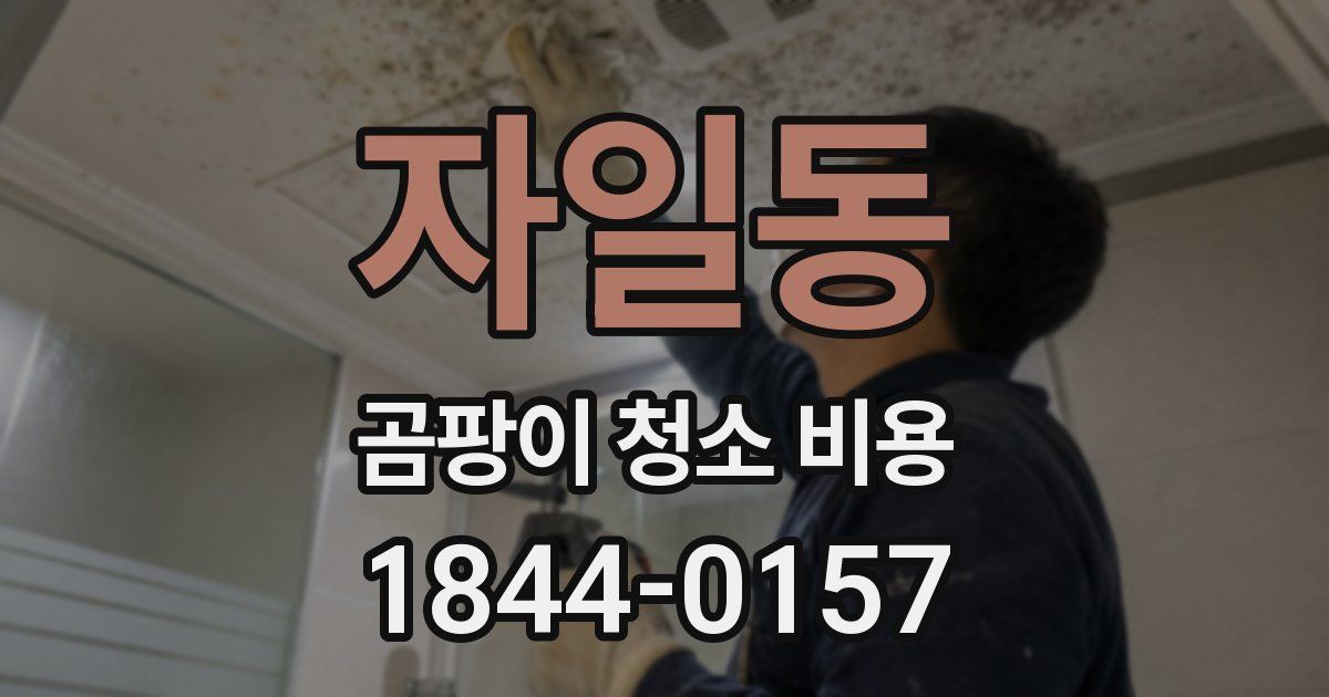 자일동 곰팡이 청소 비용