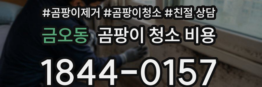 금오동 곰팡이 청소 비용
