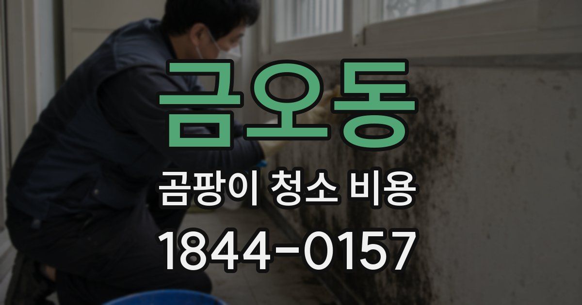 금오동 곰팡이 청소 비용