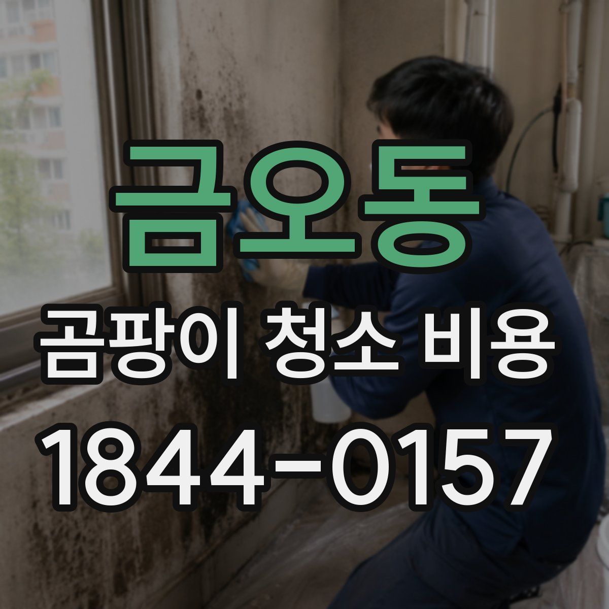 금오동 곰팡이 청소 비용