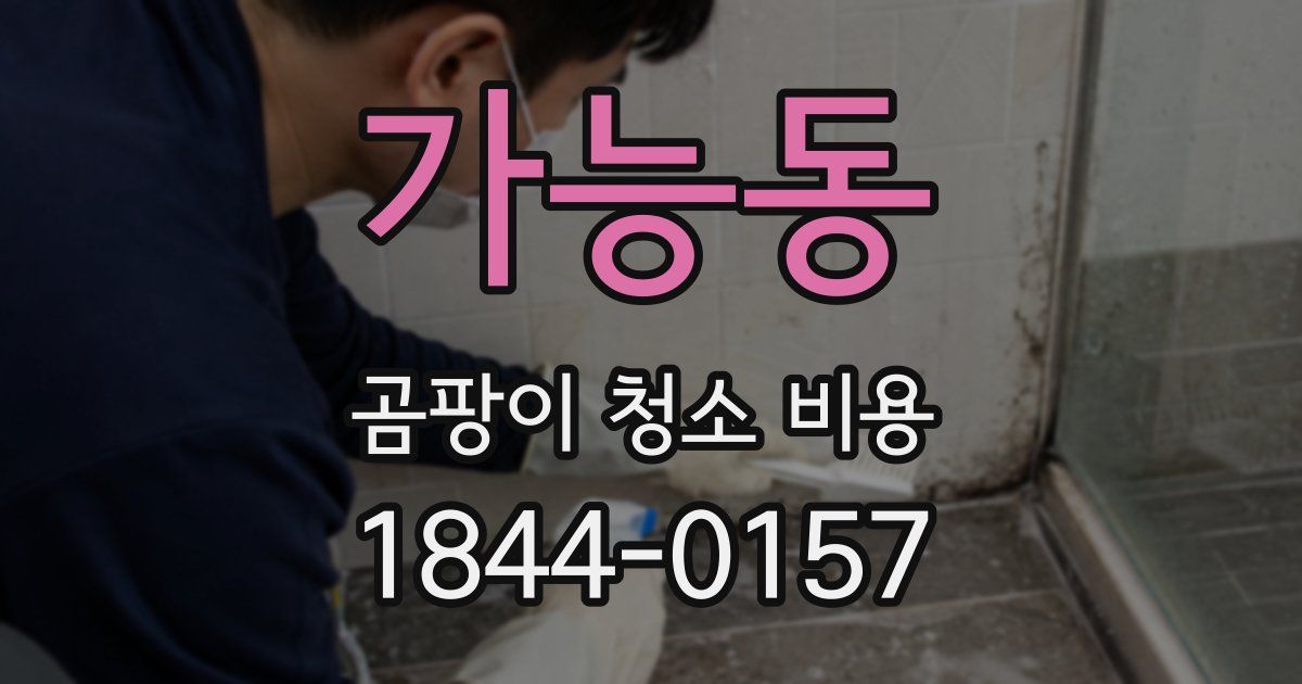 가능동 곰팡이 청소 비용