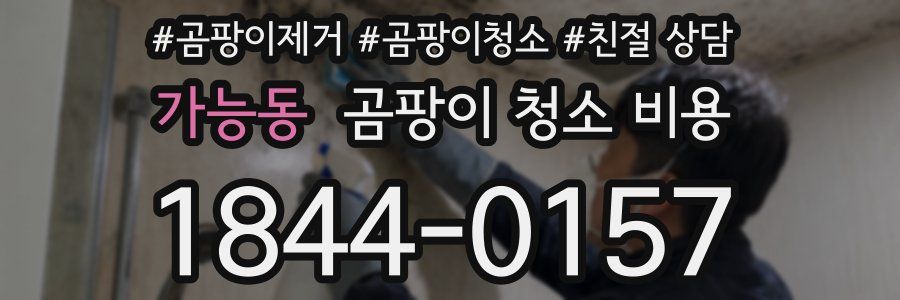 가능동 곰팡이 청소 비용