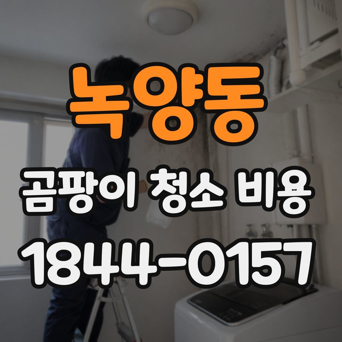녹양동 곰팡이 청소 비용