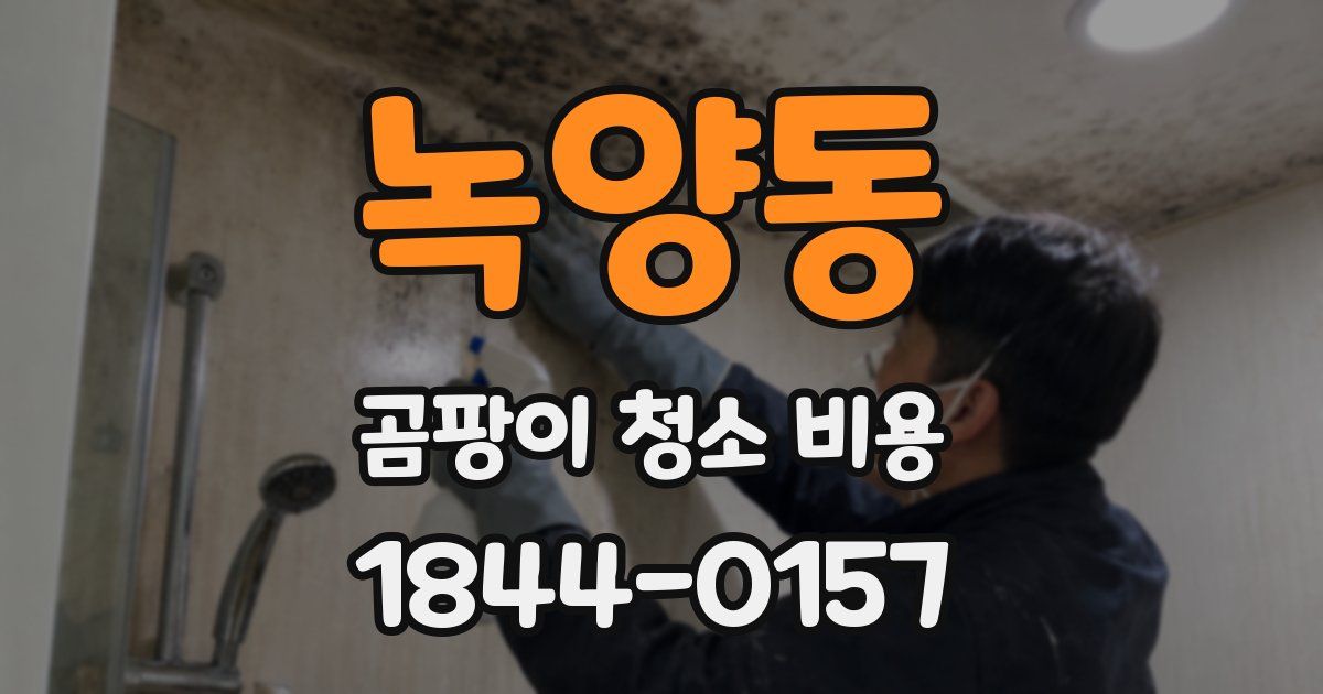 녹양동 곰팡이 청소 비용