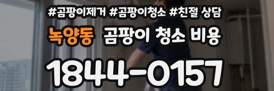 녹양동 곰팡이 청소 비용