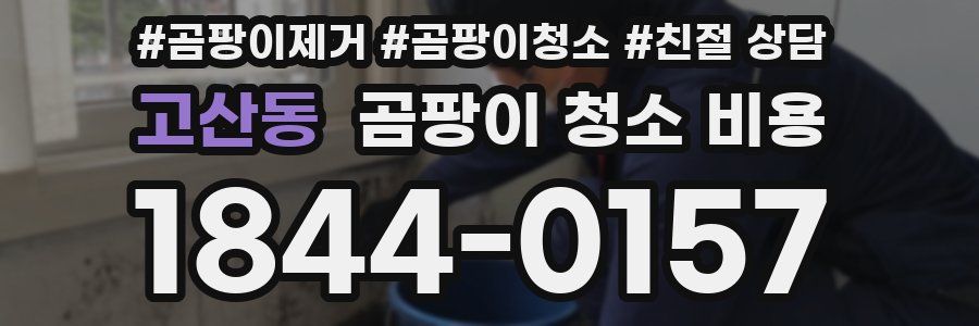 고산동 곰팡이 청소 비용