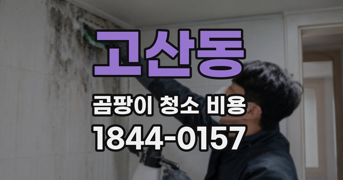 고산동 곰팡이 청소 비용