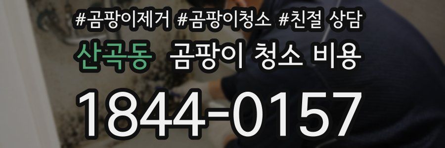 산곡동 곰팡이 청소 비용