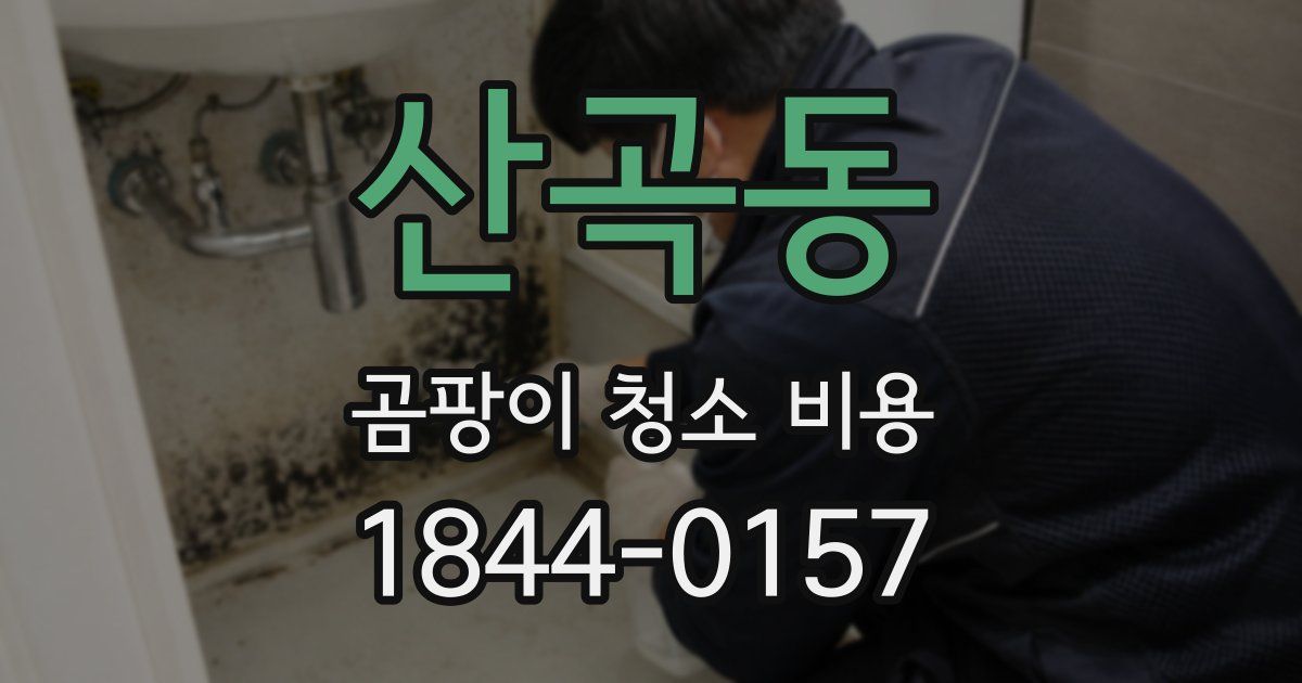산곡동 곰팡이 청소 비용