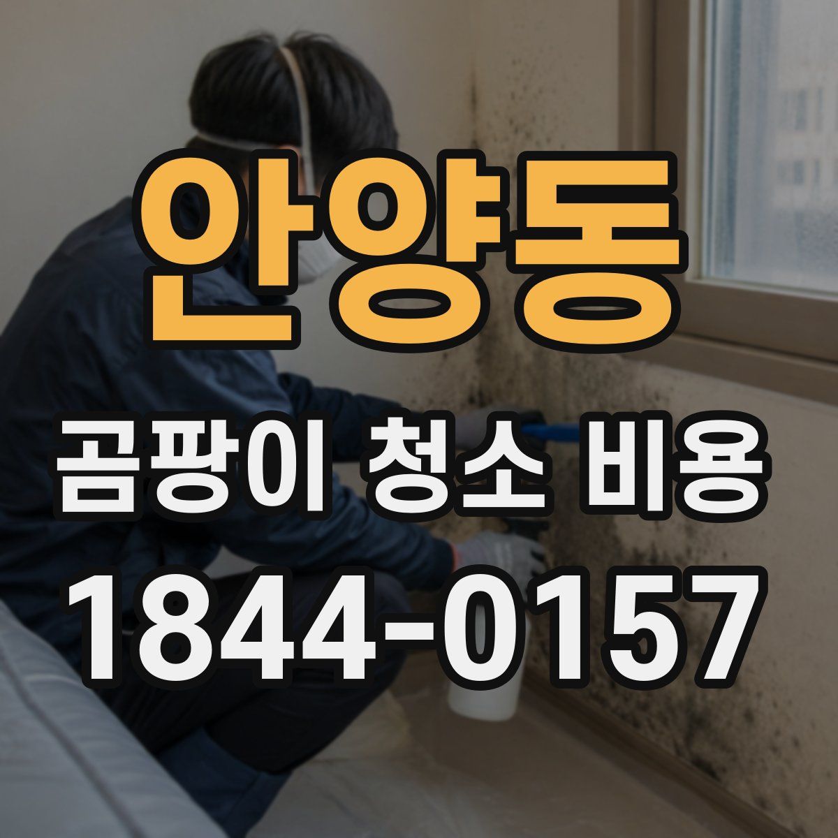 안양동 곰팡이 청소 비용